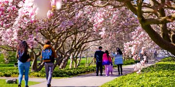 Niagara Falls Family Spring Blossoms