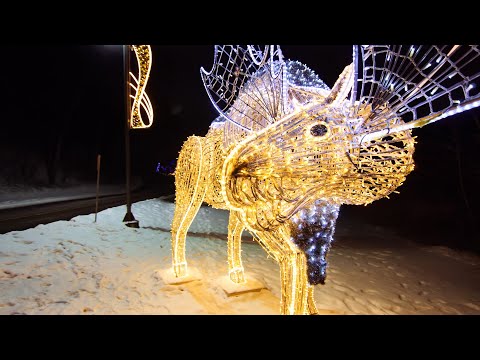 Winter Festival of Lights