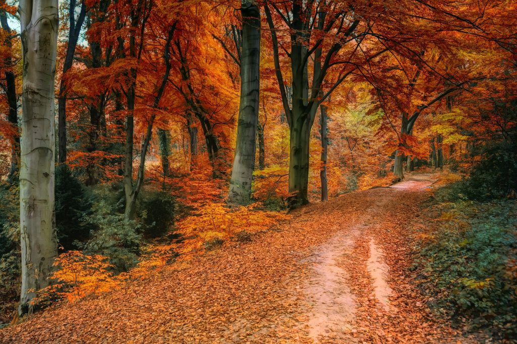 Niagara Hiking Trails