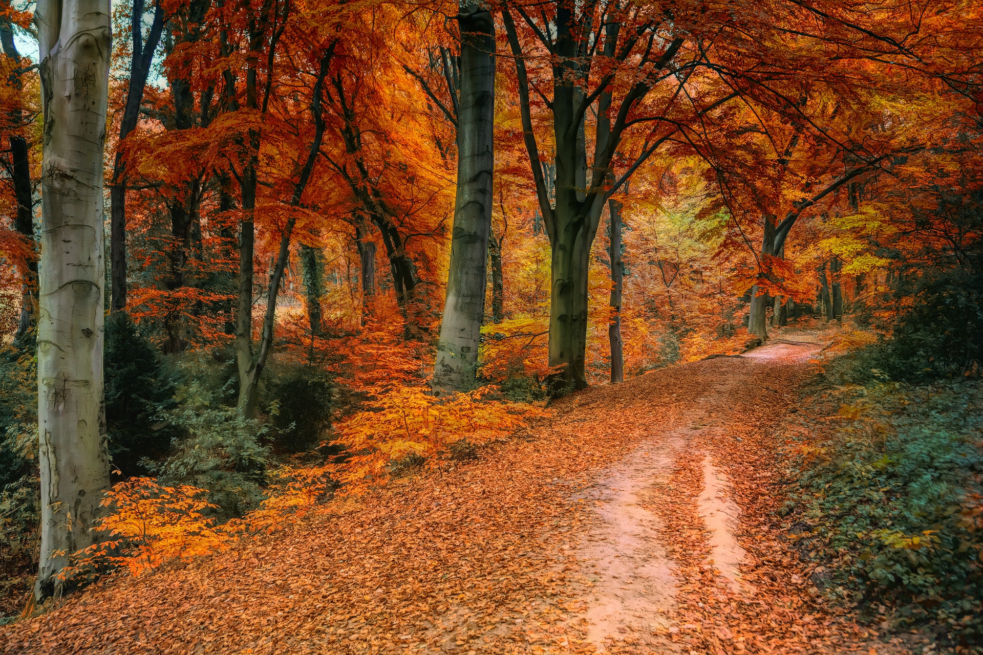 Niagara Hiking Trails